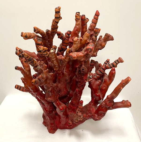 Red Bamboo Coral Piece (1 of 14)