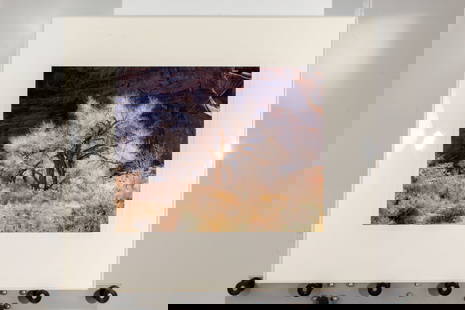 Christopher Burkett "Cottonwood and Light" Print: *Christopher Burkett signed limited edition print (98 of 199) of a cottonwood tree in Canyonlands, Utah, 1987, framed w/ plexiglass and double matted.