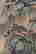 item-133563595=3