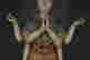 item-120612239=3