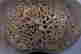 item-133461161=6