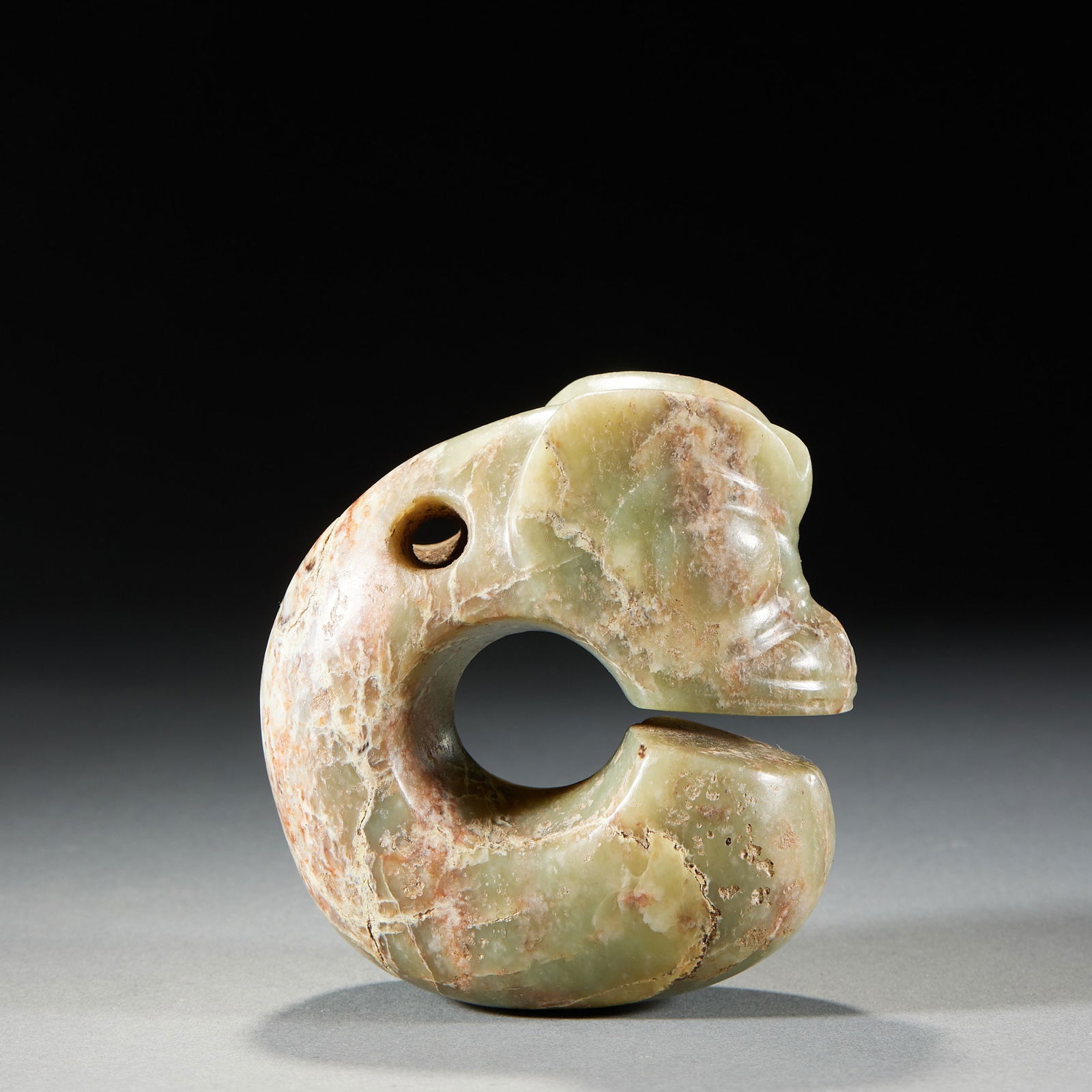 Yuzhuosaur (1 of 10)