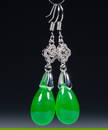 Jewelry earrings