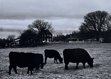 Vintage Photograph of Little Compton RI by Carmel Vitullo: Carmel Vitullo (B.1925). Vintage 1967 silver gelatin print "Little Compton- Farm", hand-printed by the artist. Signed & dated verso. Dimensions: 5 1/2" x 8" (image) on 11" x 14" sheet. Unframed.This i