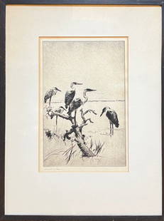 Etching by Frank Benson: Frank Benson (American, 1862-1951). "Herons at Rest", 1923. Etching. Edition of 150. Signed by artist in pencil, lower left margin. Dimensions: 11 7/8" x 7 7/8". Nicely matted & framed under glass: