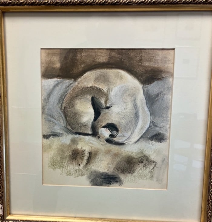 Modernist work by Ducassse for Cat Lovers: Artist: Mabel Ducasse (American, 1895-1976). Title: Sleeping Cat. Pastel on paper. Unsigned. From artist estate. Dimensions: 81/2" x 8". Matted and framed under glass: 13 1/2" x 13". Cats have