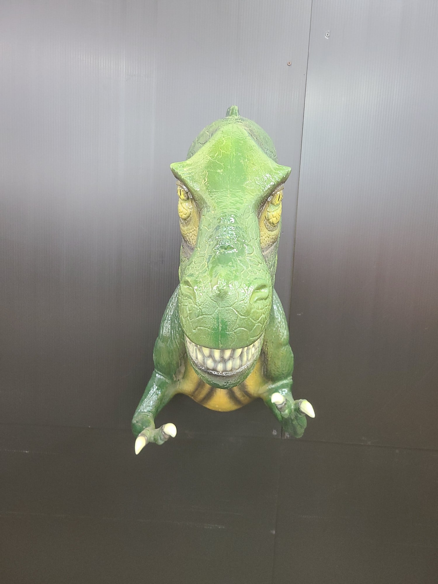 Velociraptor Dinosaur (1 of 8)