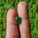 item-122911051=2