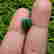item-130059068=3