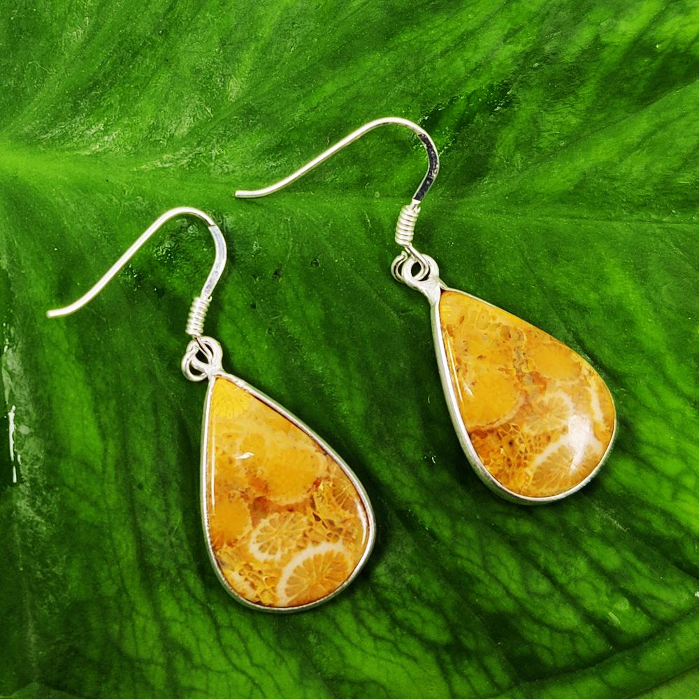 FOSSIL CORAL 92.5 STERLING SILVER EARRING: FOSSIL CORAL 92.5 STERLING SILVER EARRING Product Type : EARRING Main Stone : FOSSIL CORAL Main Stone Shape : PEAR Main Stone Size : 22X15 MM Main Stone Color : BROWN Metal : STERLING SILVER Metal Pur