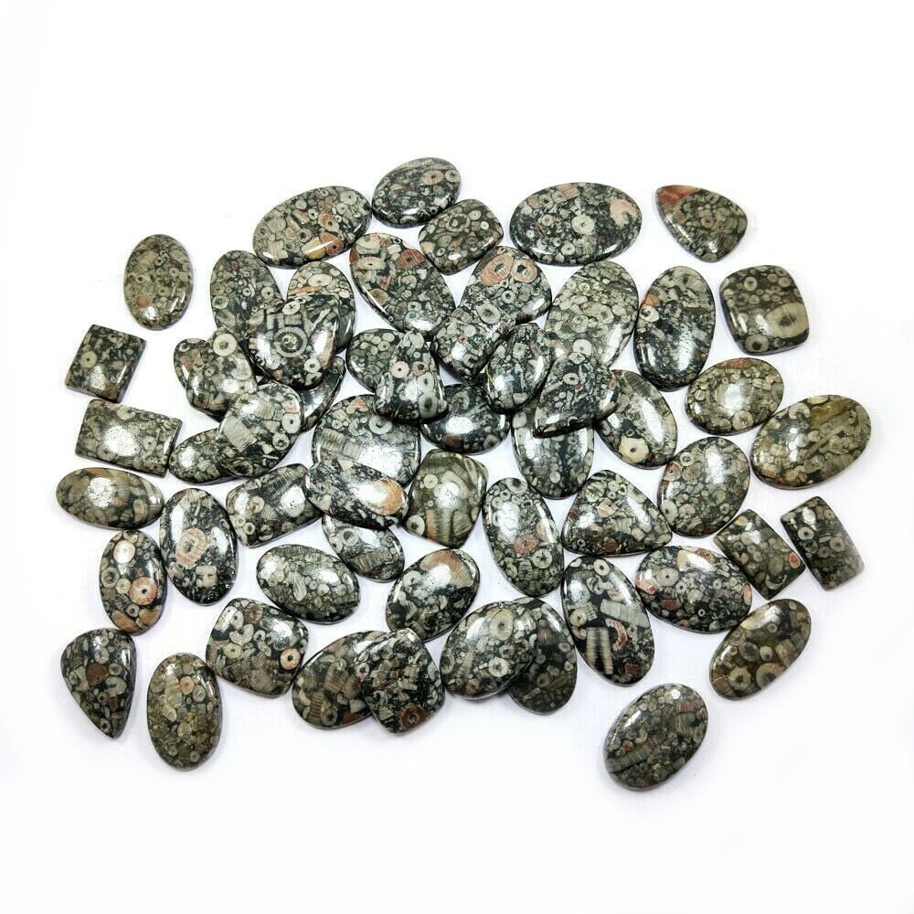 Natural Crinoid Fossil Gemstone Mix Shape 5000 Cts. (1 of 2)