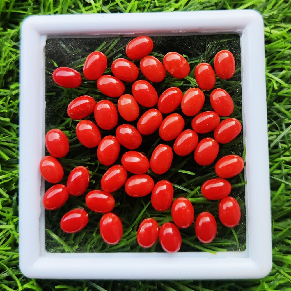 Red Coral 6x4 MM Oval Cabochon 50 Pieces (1 of 5)