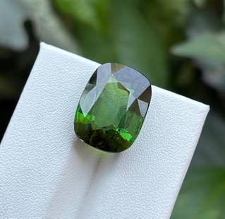 Natural Green Tourmaline Cushion Faceted Cut 9.45 Cts. Gemstone: Natural Green Tourmaline Cushion Faceted Cut 9.45 Cts. Gemstone Green Tourmaline Shape : Cushion Size : 14.5x11x7.5 MM Color : Green Type : Faceted Cut Quantity : 1 Piece Weight