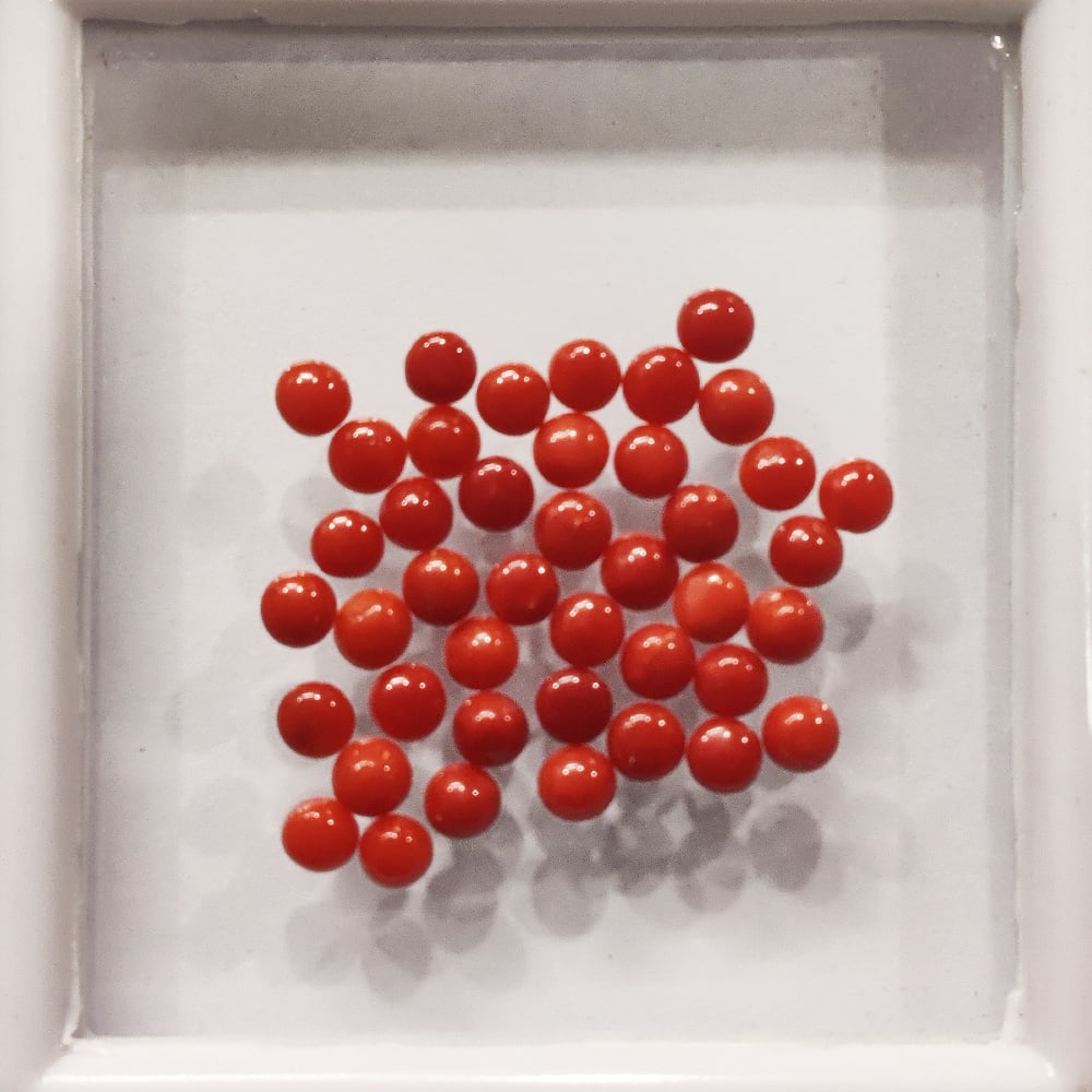 Red Coral 3 MM Round Cabochon 100 Pieces: Natural Red Coral 3 MM Round Cabochon 100 Pieces Gemstone : Red Coral Shape : Round Size : 3 MM Color : Red Type : Cabochon Quantity : 100 Pieces Weight : 11 Carats