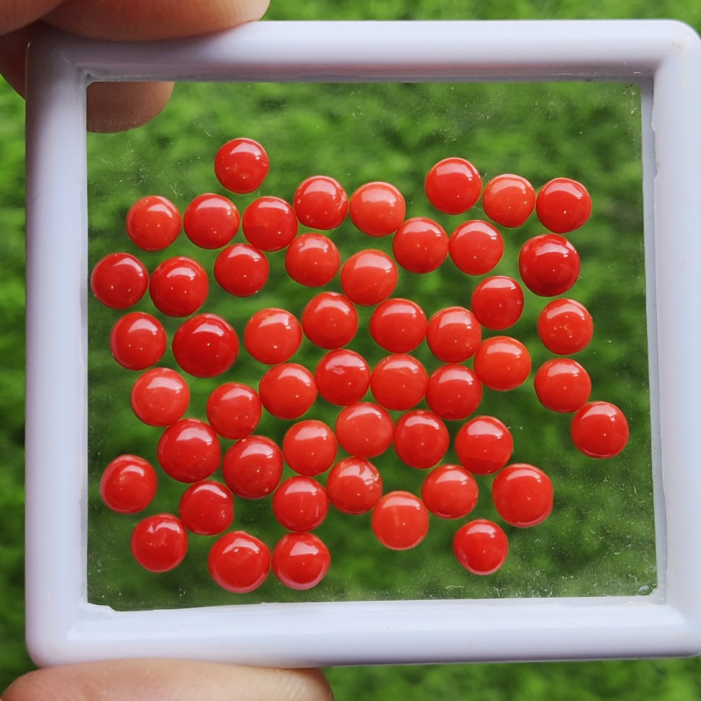 Red Coral 4 MM Round Cabochon 100 Pieces: Natural Red Coral 4 MM Round Cabochon 100 Pieces Gemstone : Red Coral Shape : Round Size : 4 MM Color : Red Type : Cabochon Quantity : 100 Pieces Weight : 20 Carats