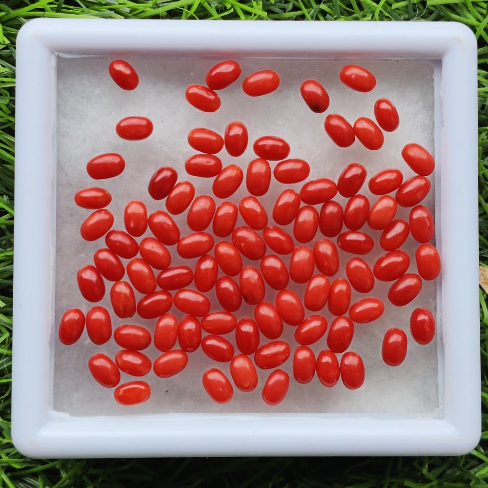 Red Coral 5x3 MM Oval Cabochon 50 Pieces: Natural Red Coral 5x3 MM Oval Cabochon 50 Pieces Gemstone : Red Coral Shape : Oval Size : 5x3 MM Color : Red Type : Cabochon Quantity : 50 Pieces Weight : 12 Carats