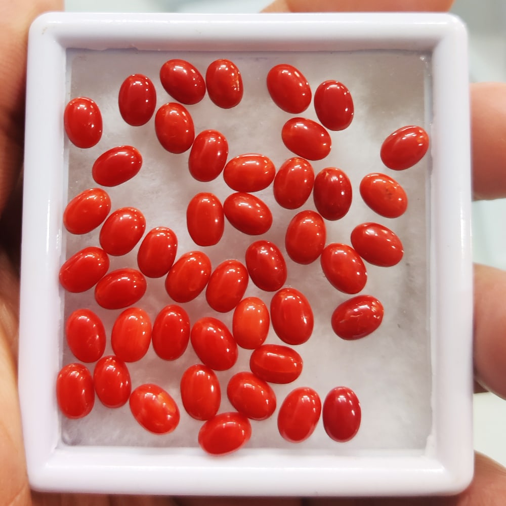 Red Coral 6x4 MM Oval Cabochon 25 Pieces (1 of 5)