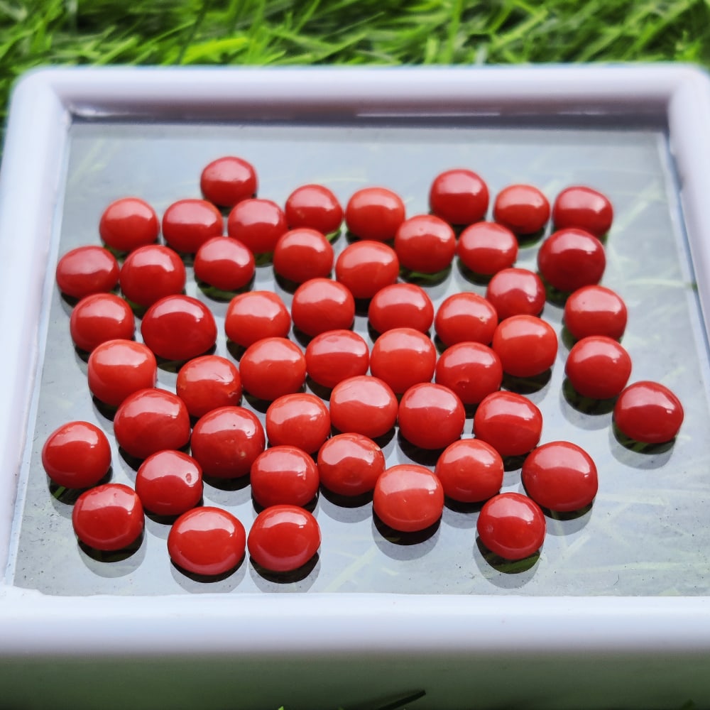 Red Coral 5 MM Round Cabochon 100 Pieces (1 of 3)