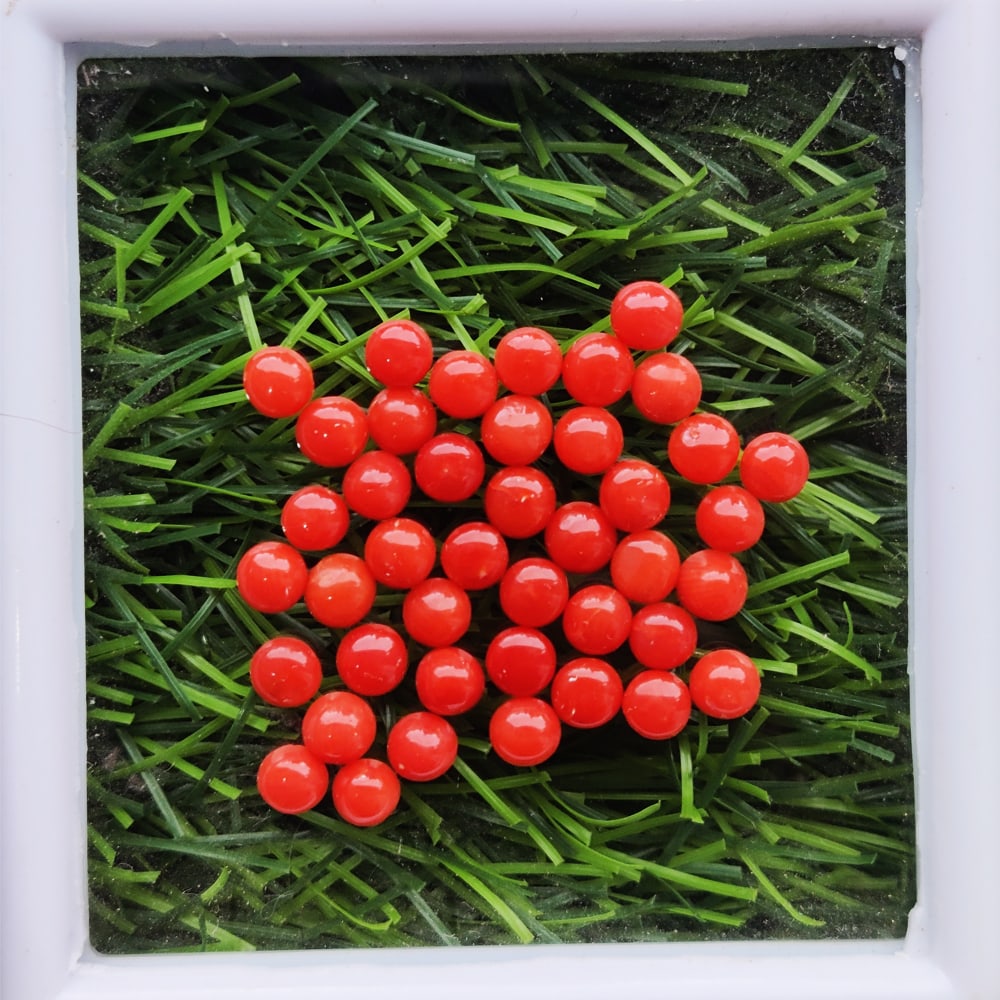 Red Coral 3 MM Round Cabochon 200 Pieces (1 of 3)