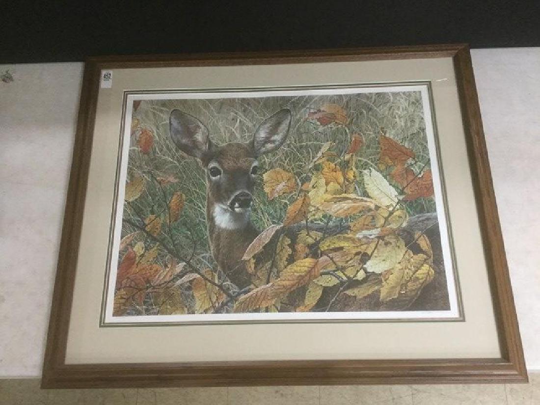 CARL BRENDERS SIGNED DEER IN WOODS PRINT, #570/950, (1 of 1)