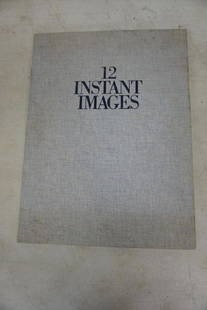 12 INSTANT IMAGES, THE SX-70 EXPERIENCE PORTFOLIO, 12: 12 INSTANT IMAGES, THE SX-70 EXPERIENCE PORTFOLIO, 12 PLATES AND TEXT PRINTED ON 6 LARGE SCALE SHEETS. PHOTOGRAPHERS INCLUDE CHARLES EAMES, JUDITH EGLINGTON, SAM HASKINS, IKKO, HORST MUNZIG, HELMUT NE