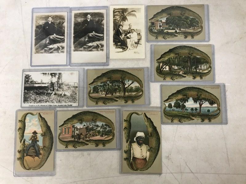 (11) ALLIGATOR POSTCARDS INCL. (4) RPPC, FROM ESTATE (1 of 6)