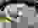 item-86646740=2