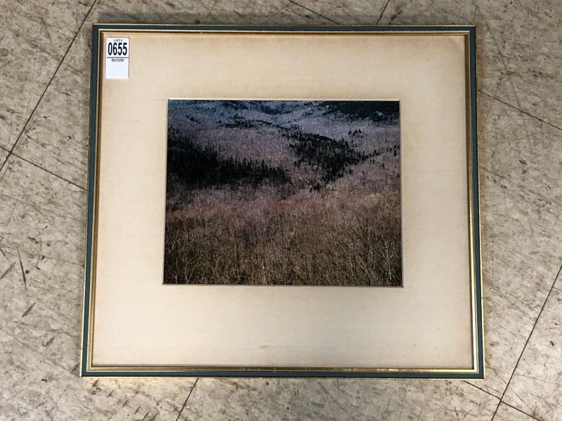 ELIOT PORTER (1901-1990) PHOTOGRAPH (EVAN'S NOTCH DYE: ELIOT PORTER (1901-1990) PHOTOGRAPH (EVAN'S NOTCH DYE TRANSFER ). NICELY FRAMED AND LINEN MATTED, IMAGE MEASURES 8.5"" X 10.5". FRAME SIZE IS 16" X 17.5". OWNER AND DIRECTOR OF THE WITKIN GALLERY IN N