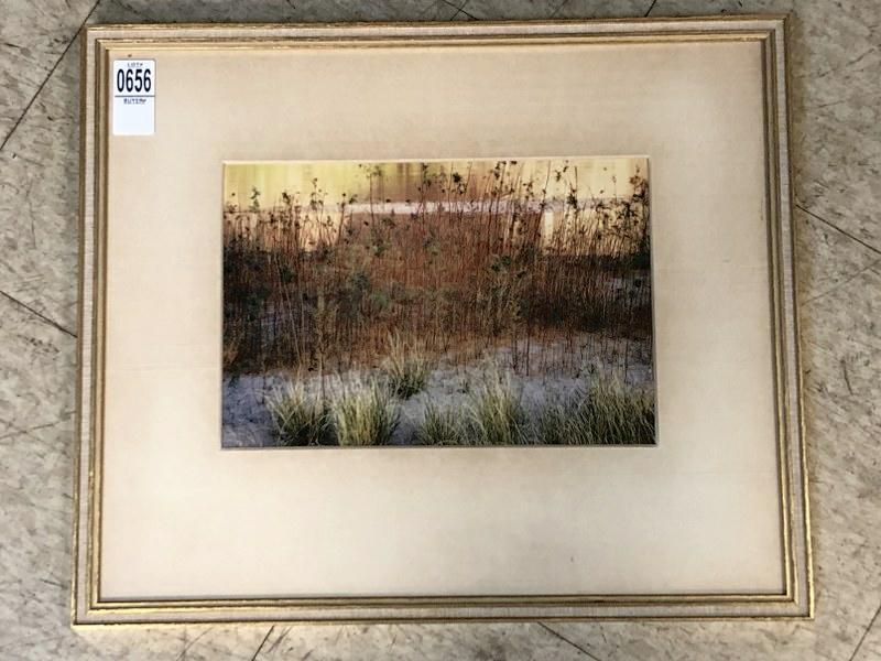 ELIOT PORTER (1901-1990) PHOTOGRAPH (TAMARISK & GRASS: ELIOT PORTER (1901-1990) PHOTOGRAPH (TAMARISK & GRASS ). NICELY FRAMED AND LINEN MATTED, IMAGE MEASURES 7.25"" X 10.5". FRAME SIZE IS 15" X 17.5". FROM EVELYNE DAITZ ESTATE - EVELYNE DAITZ (1936-2019)