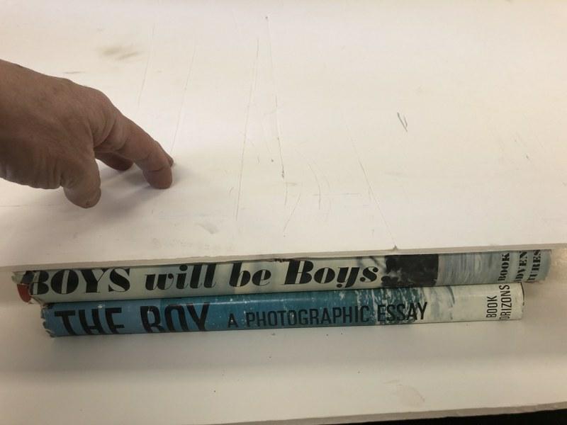 (2) BOOKS, BOTH WITH DUST JACKETS (SOME LIGHT TEARS ON (1 of 1)