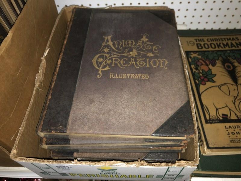 SET OF ANIMATE CREATION ILLUSTRATED, COPYRIGHT 1898, (1 of 1)