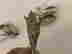 item-115704521=4