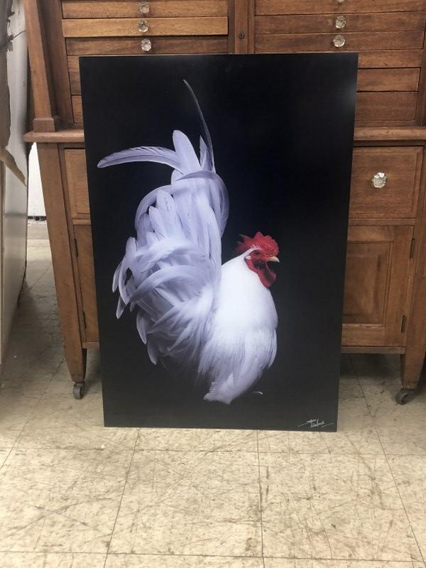 STEPHEN GREEN ARMYTAGE SIGNED PHOTOGRAPH OF ROOSTER IN (1 of 6)