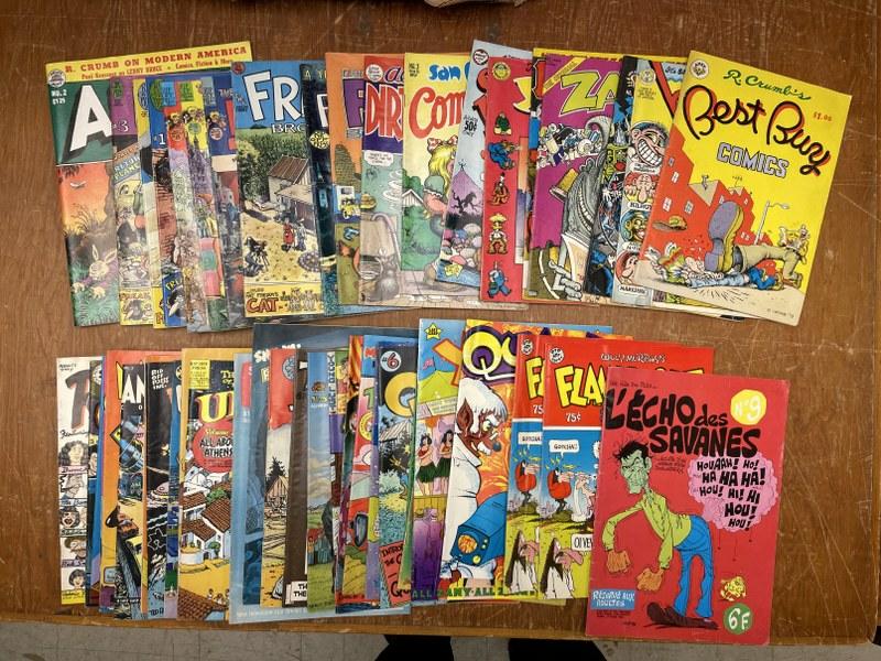 LOT OF 48 UNDERGROUND COMICS R CRUMB SHELTON ALINE (1 of 8)