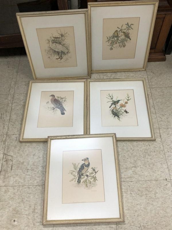 (5) DICK FINDLAY FRAMED BIRD PRINTS IN MATCHING FRAMES, (1 of 4)