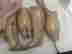 item-129381937=9