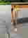item-129925677=3