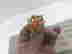 item-131891628=4