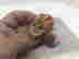 item-131891628=6