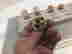 item-131891630=2