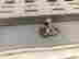 item-131891630=4
