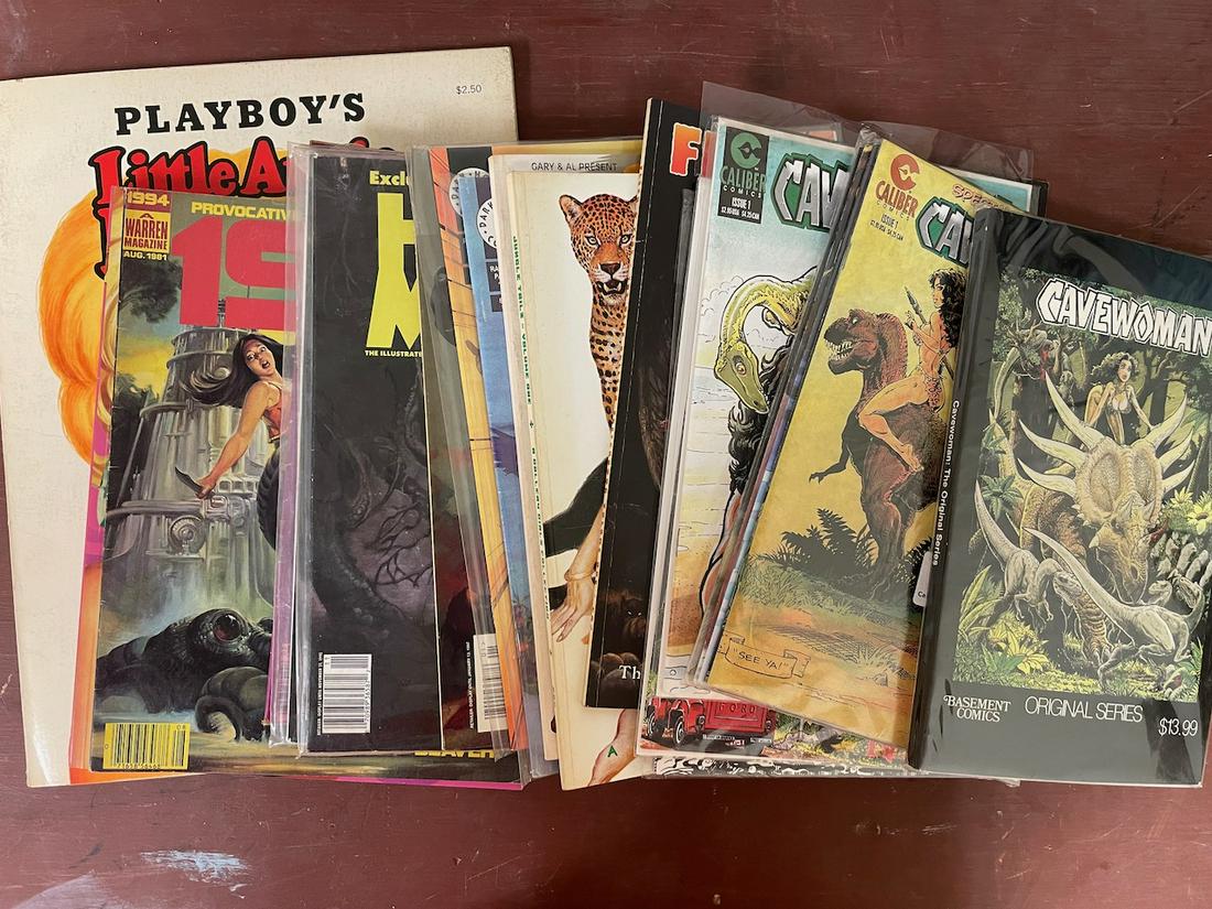 20+ Cheesecake/adult comics/magazines Little Annie Fanny 1994. This lot includes two full color (1 of 8)