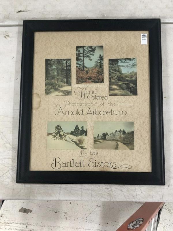 Hand Colored photographs of the Arnold Arboretum by the Bartlett Sisters, frame measures 27.50" x: Hand Colored photographs of the Arnold Arboretum by the Bartlett Sisters, frame measures 27.50" x 23.50". From the estate collection of Richard G. Miller's 19th & 20th century hand painted, coloured &