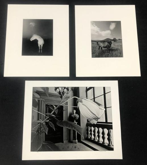 (3) Doug Prince photographs, signed & dated, one inscribed to Evelyne  (Daitz), they measure 16" x (1 of 5)