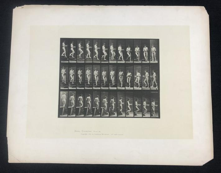 Eadweard Muybridge collotype from Animal Locomotion, Plate 144, board measures 19" x 24".   From (1 of 3)