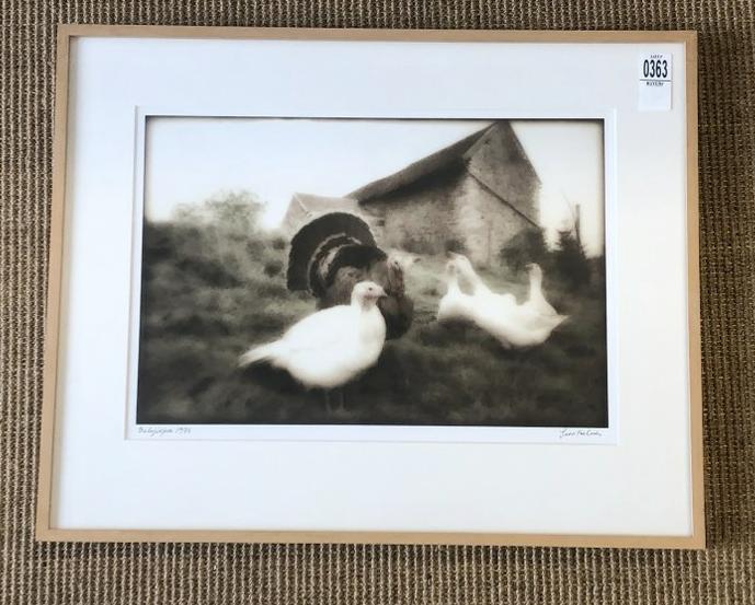 Hubert Grooteclaes (1927-1994) Belgium - photograph gelatin silver print, of turkeys, dated and: Hubert Grooteclaes (1927-1994) Belgium - photograph gelatin silver print, of turkeys, dated and ttiled lower left as pictured, 1973, frame is 16.5" x 20.5". From estate of Howard & Evelyne Daitz NYC, 