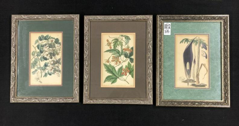 (3) early botanicals (2) dated 1839 & (1) 1838, in later frames and matted. The prints measure 8" x (1 of 5)
