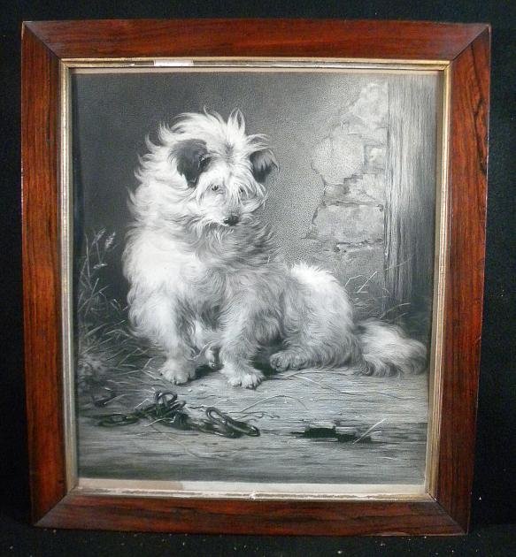 English 1849 Print Long Hair Dog Painted by J Bate: English 1849 Print Long Hair Dog Painted by J Bateman, has stain in lower left corner. Print measures 21" x 17".