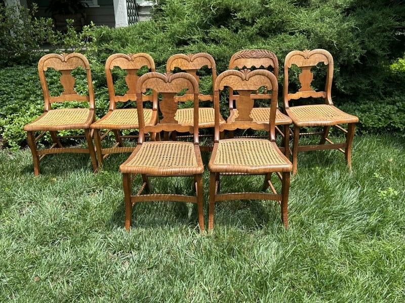 (7) sabre leg tiger maple caned seat chairs, from stone farmhouse in New Paltz, N.Y.  ( one caned (1 of 3)