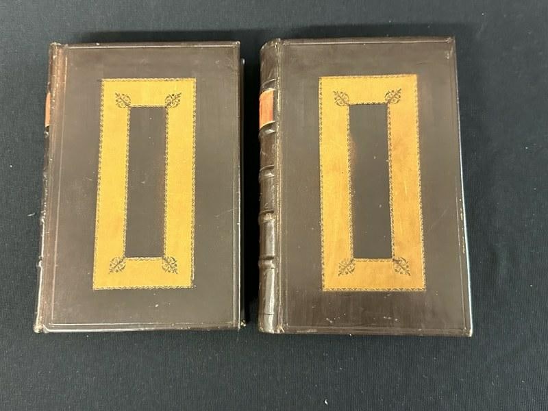 Rare 1888 Vol 1 & 2: The history of the Battles and Adventures of the British, Boers & Zulus in (1 of 8)